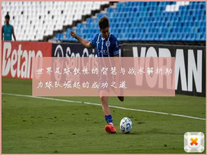 世界足球教练的智慧与战术解析助力球队崛起的成功之道