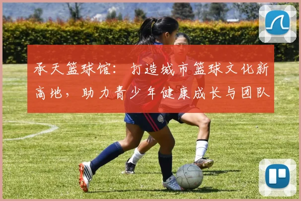 承天篮球馆：打造城市篮球文化新高地，助力青少年健康成长与团队精神培养