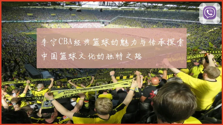 李宁CBA经典篮球的魅力与传承探索中国篮球文化的独特之路
