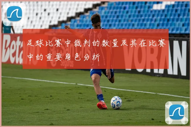 足球比赛中裁判的数量及其在比赛中的重要角色分析