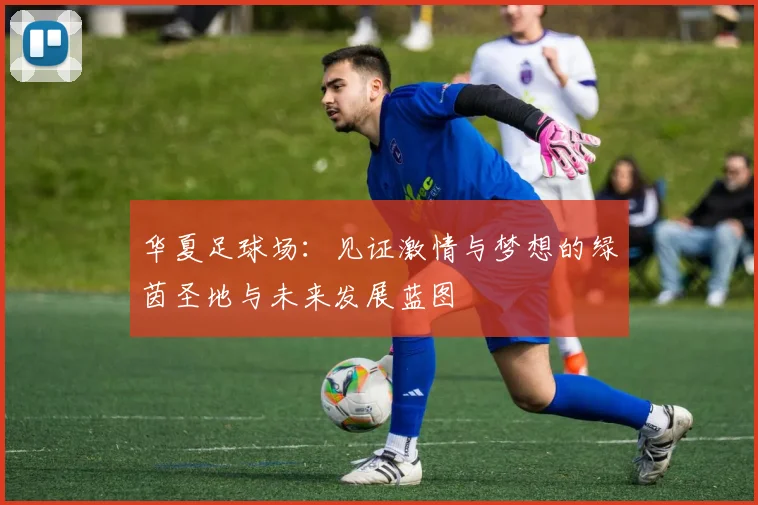 华夏足球场：见证激情与梦想的绿茵圣地与未来发展蓝图